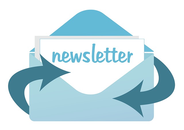 Newsletter 2